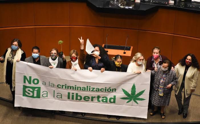 Cámara de diputados ,aprueba ,regulación ,uso de Cannabis ,México