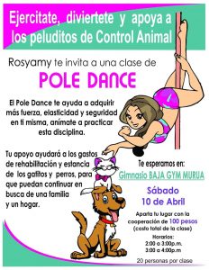 control animal, clase pole, ayuda animalitos